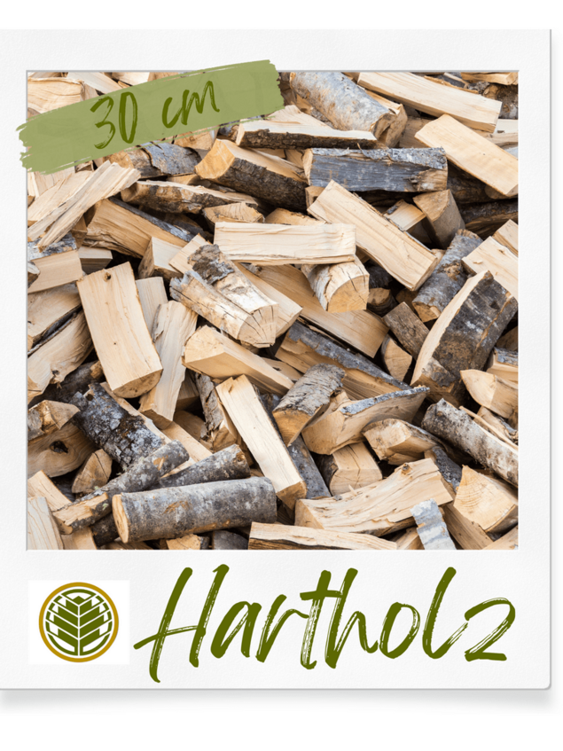vorgetrocknetes Brennholz / Kaminholz / Hartholz